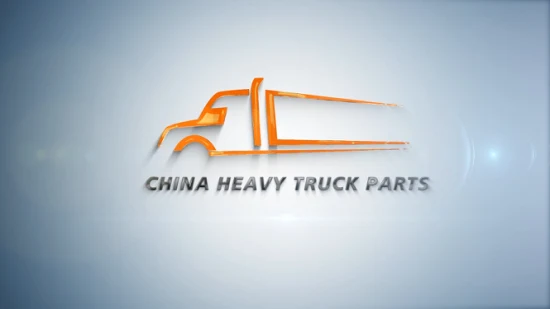 Factory Price China Heavy Duty Truck Parts Sinotruck HOWO 371 Truck Spare Part for Sale